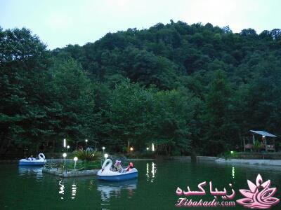 .:آلبوم عکسهای خودگرفته ما:.