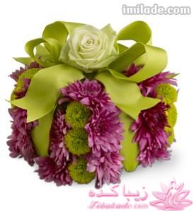 ***مسابقه اشپزی زیباکده ای***