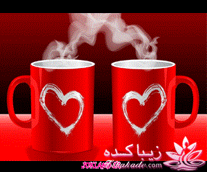 كافه گفت وگو ...
