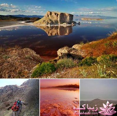 با من همراه شو