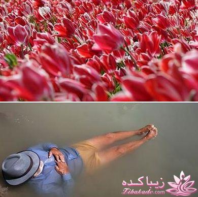 با من همراه شو