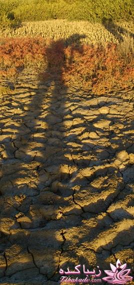 .:آلبوم عکسهای خودگرفته ما:.