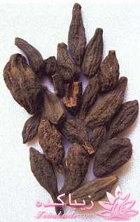 طب سنتی،به سوی تندرستی