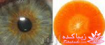 داروخانه ی الهی