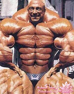 توی زندگی بعدیتون به چی تبدیل میشید ؟