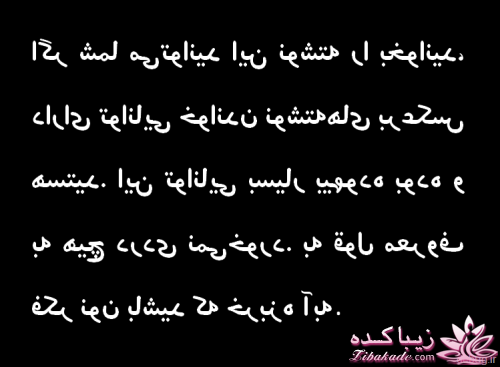 جـــــــــــــکـــــــ     جــــــــــالــــــــب