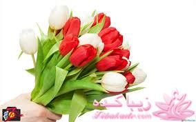 بفرمایید جشن تولد