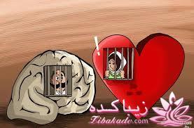 مجله سرگرمی زیباکده