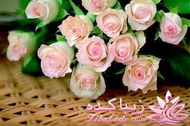 ✿ تقدیم به همه دوستان زیباکـــده ✿