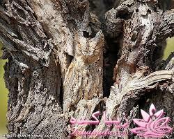 نکته عکس رو گرفتی؟؟؟؟