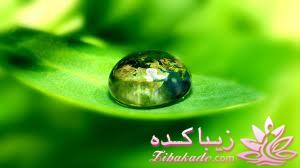 هر روز یک نکته