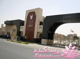 شهر من کنگان(بندر زیبایی)