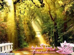 رویایی ترین تصویری که دارید بزارید ....