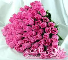 ***مسابقه اشپزی زیباکده ای***ویژه عکس غذاها