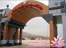 شهر من کنگان(بندر زیبایی)