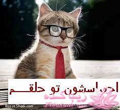 سلام علیکمـ