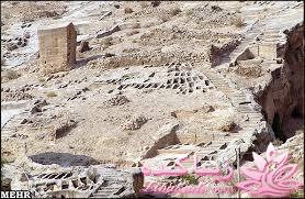 شهر من کنگان(بندر زیبایی)