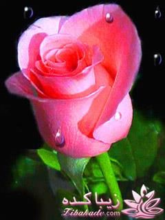 رنگ مو، آموزش ترکیب رنگ مو