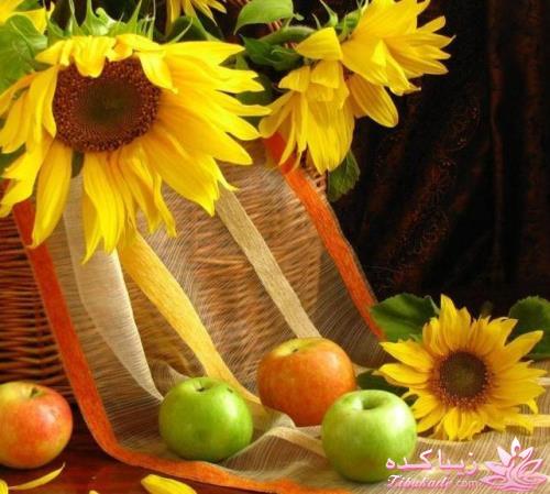 چه گلــــــی هستید؟؟!