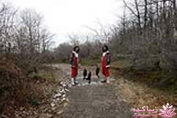 اخبار بازیگران ایران