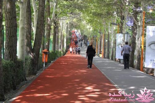 مجموعه ورزشی انقلاب - باشگاه انقلاب