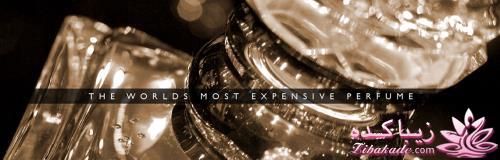معرفی بهترین عطر و ادکلن ها