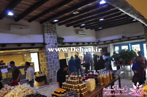 کجا ، چی بخوریم؟