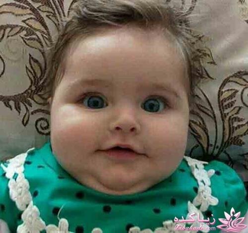 نی نی های بامزه