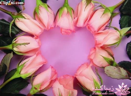 ســـــــــــــــــــــــــلام ، من اومدم