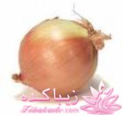 آموزش زبان انگلیسی با عکس