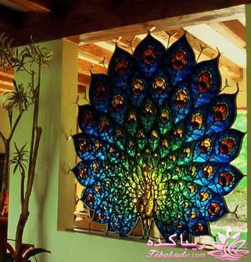 همه چیز در مورد ویترای...