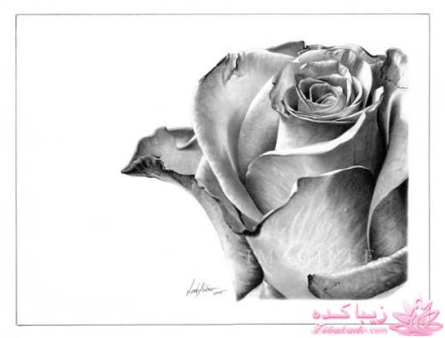 هنر آرامبخش نقاشی...