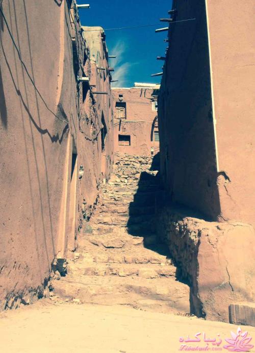 .:آلبوم عکسهای خودگرفته ما:.