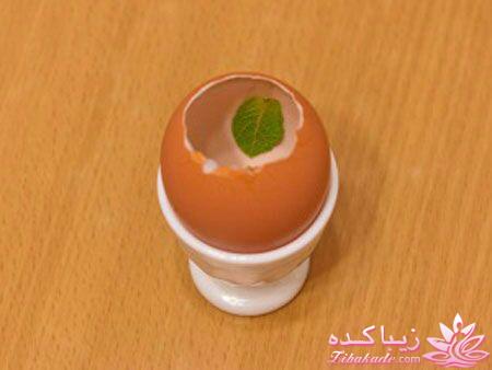 آموزش انواع ژله (ژله های متنوع و زیبا)