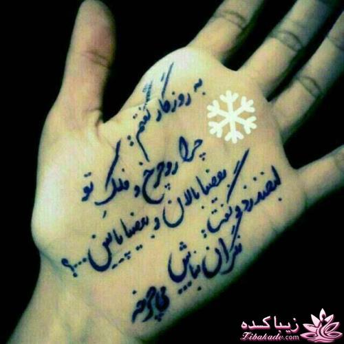 كافه گفت وگو ...