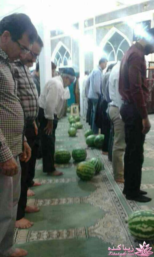 كافه گفت وگو ...