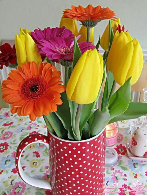 ☼ عکــــس نوشته ☼