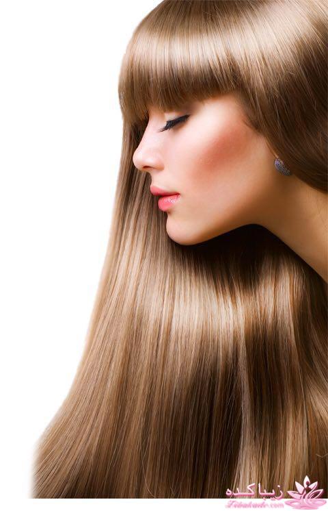 شناخت انواع مو