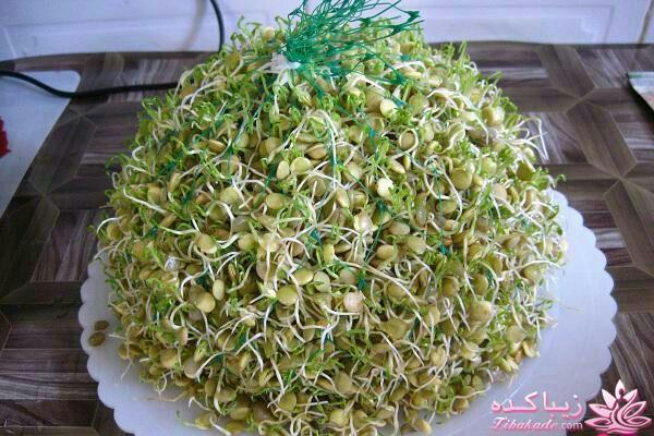 آموزش تزیین سفره هفت سین