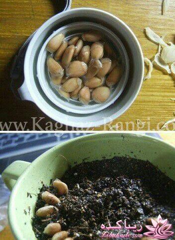 آموزش تزیین سفره هفت سین