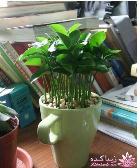 آموزش تزیین سفره هفت سین