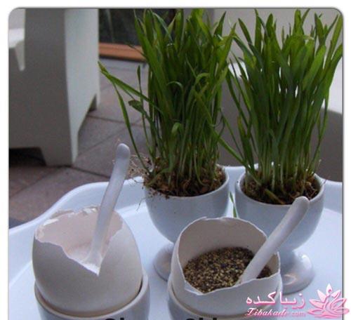 آموزش تزیین سفره هفت سین