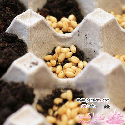 آموزش تزیین سفره هفت سین