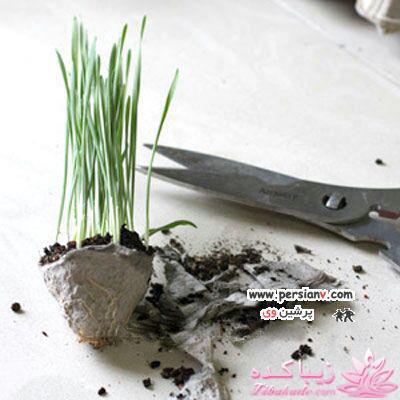 آموزش تزیین سفره هفت سین