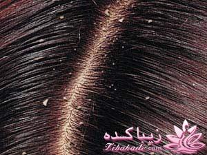 خانومانه ، زیباتر از قبل...