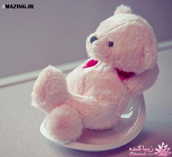 كافه گفت وگو ...