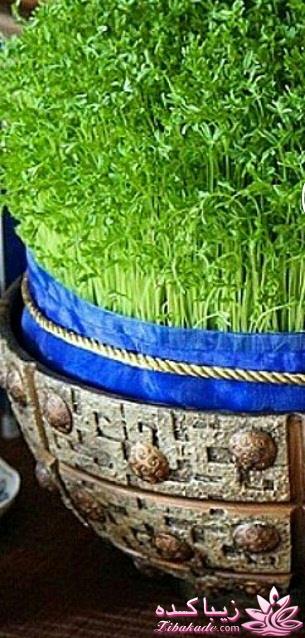 آموزش تزیین سفره هفت سین