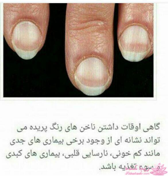 طب سنتی اسلامی ، به سوی تندرستی