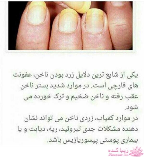 طب سنتی،به سوی تندرستی