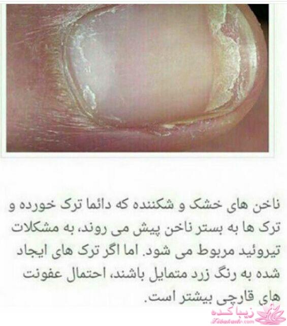 طب سنتی اسلامی ، به سوی تندرستی